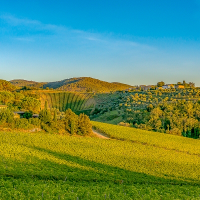 Chianti Classico Wine Tour